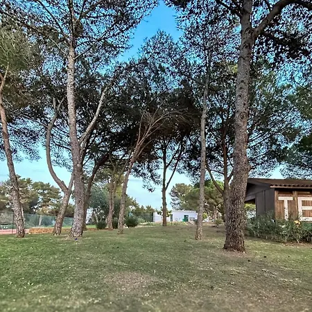 Lägenhet Barinel Ocean Breeze *